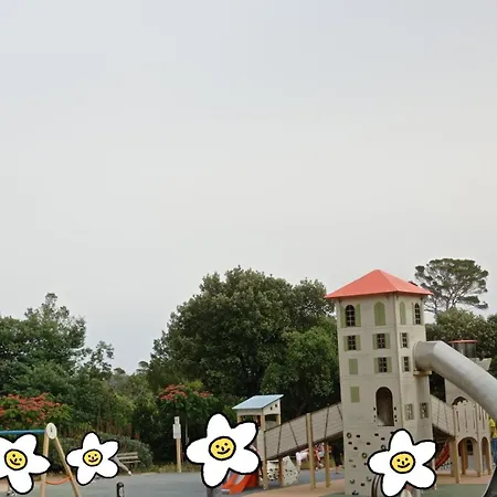 Ohana Campsite *